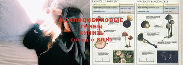 бошки Лиски