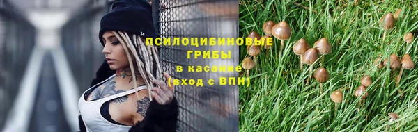 бошки Лиски