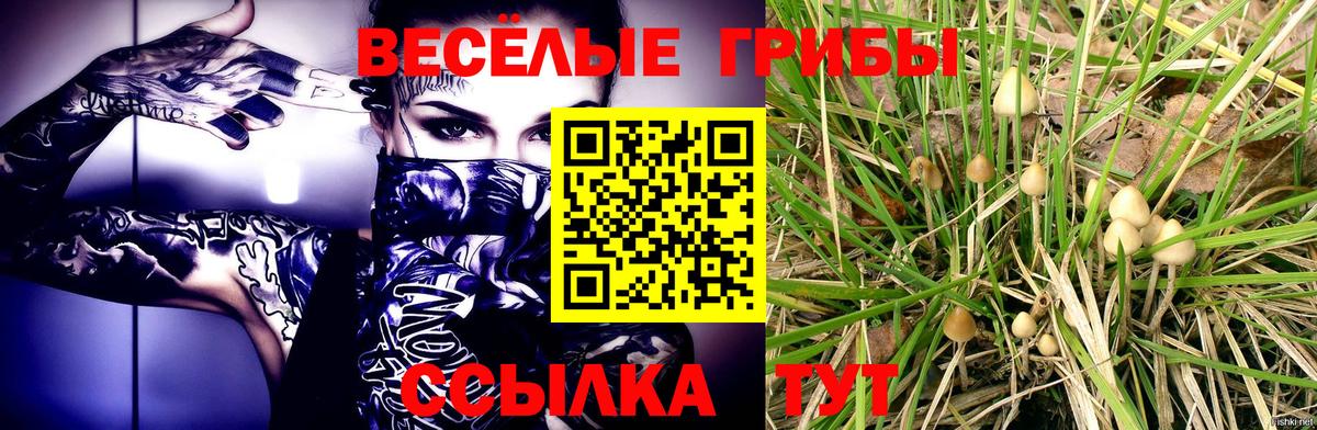 Галлюциногенные грибы Cubensis Троицк