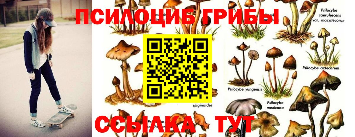 Галлюциногенные грибы Magic Shrooms  Галлюциногенные грибы GOLDEN TEACHER  Троицк  Вход с VPN 